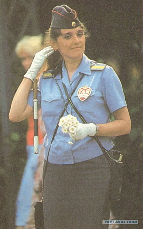 - Скажи-ка, дядя, ведь не даром в кустах ты прячешься с радаром?