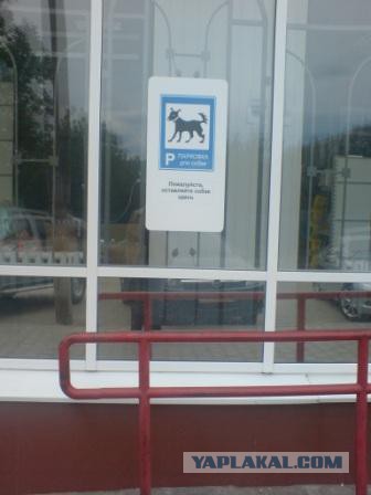 Весёлые картинки