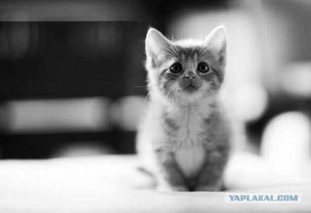 Душевные фотографии