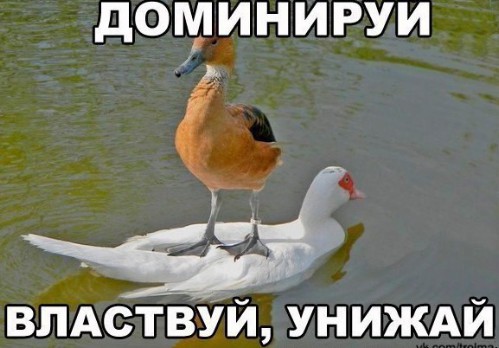 Причина всех проблем сударынь