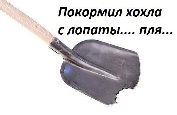 О голландских "гарантиях против украинцев": не давать денег, жизни и работы