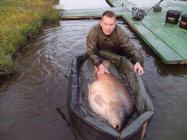 Подборка безудержного веселья