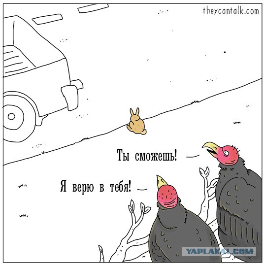 Корнем об корень... 16+