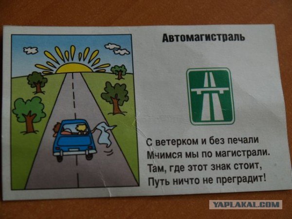 ПДД (16 фото)