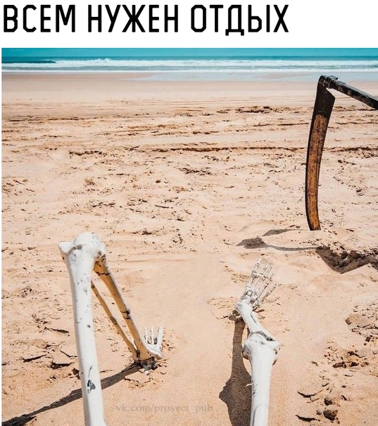 Коротко обо всём