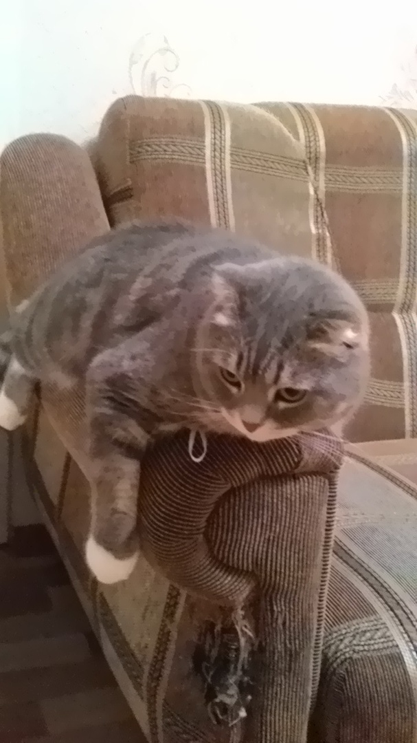 Немного милоты
