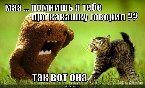 «Мы это делали»: астронавты ответили за экскременты на Луне