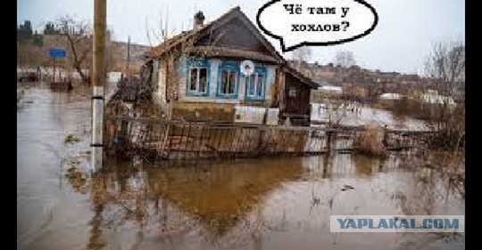 Лукашенко разрешил сажать за нацистскую символику, символы УПА и портреты Бандеры