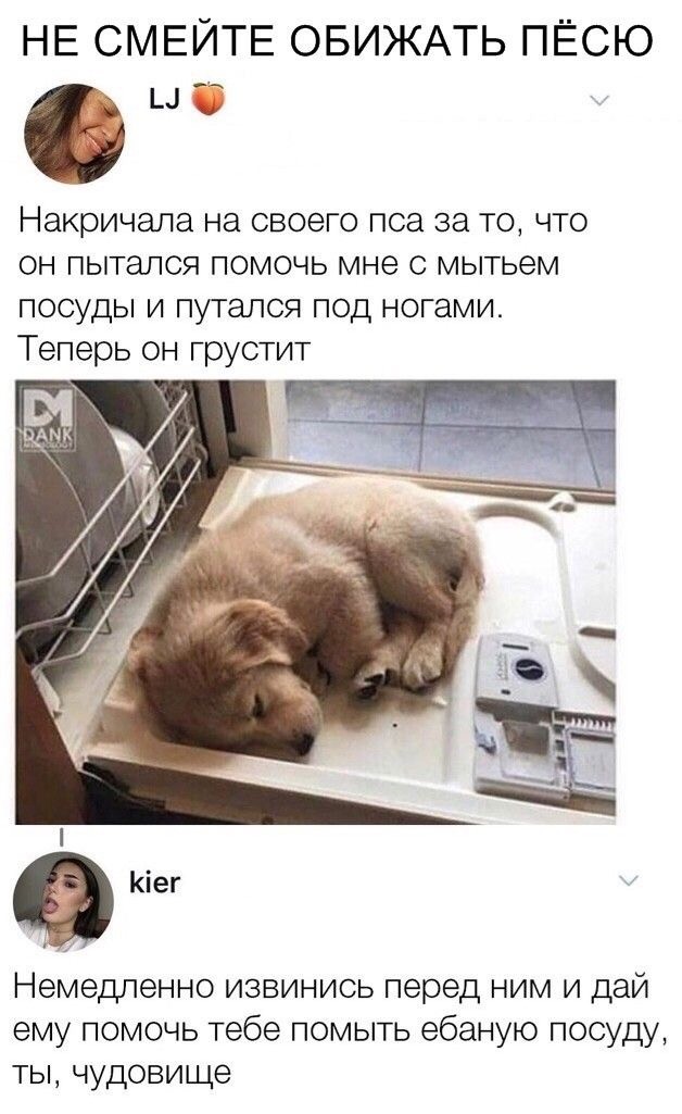 Кто своровал печенюшки? - Ты что, хозяйка, это не я...