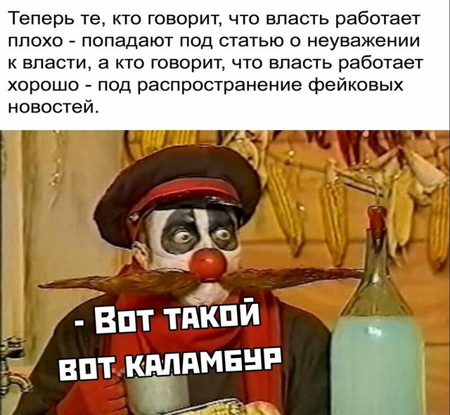 Алену Водонаеву вызвали в полицию из-за скандальных публикаций об абортах и «рабах государства»