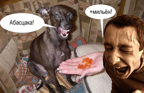Фотожаба: Ржака