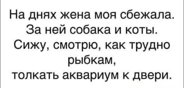 Где сегодня картинки?