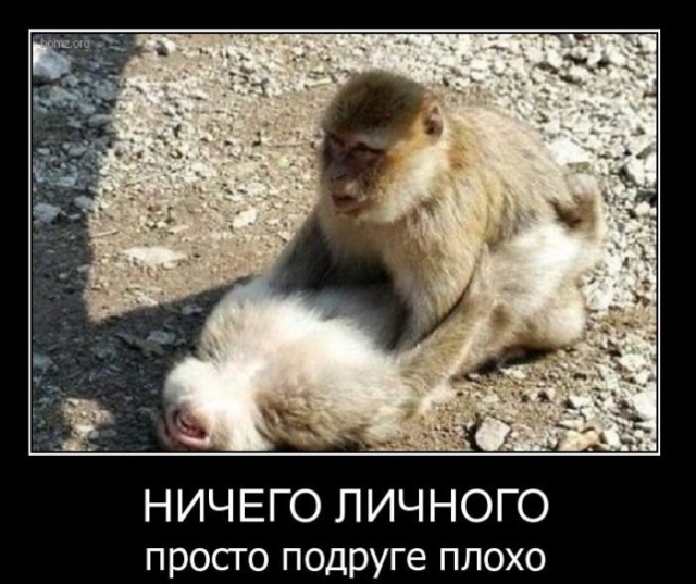 Подборка баянистых картинок