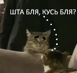 Вас разоблачили