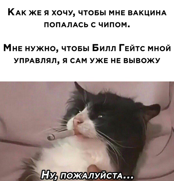 Картинки и мемы для настроения 027