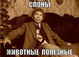Дочь Кафельникова раскритиковали за голую фотографию
