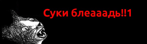 Кошка и сугроб!