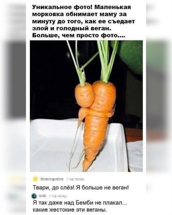Если б раки не хотели, чтоб их ели, им не стоило становиться такими вкусными