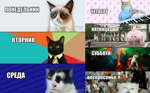 Картинки и мемы для настроения 26.05.2021