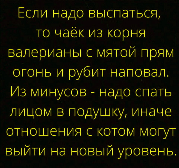 Картинки и мемы для настроения 03.06.2021