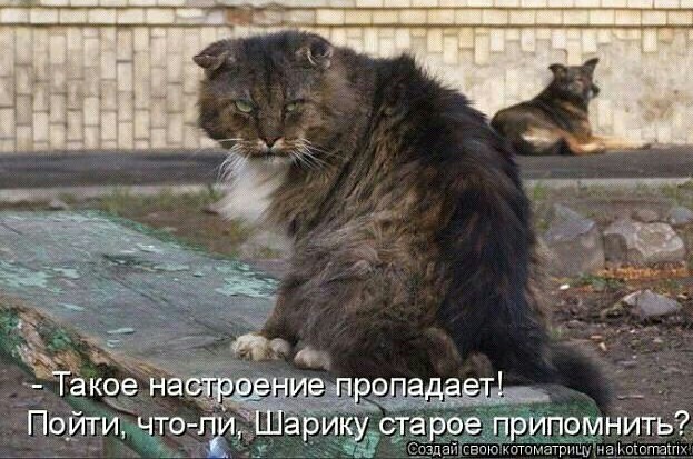 Ну вот за что?