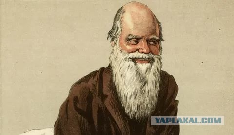 Как думаете, нужно им сказать, что так нельзя?