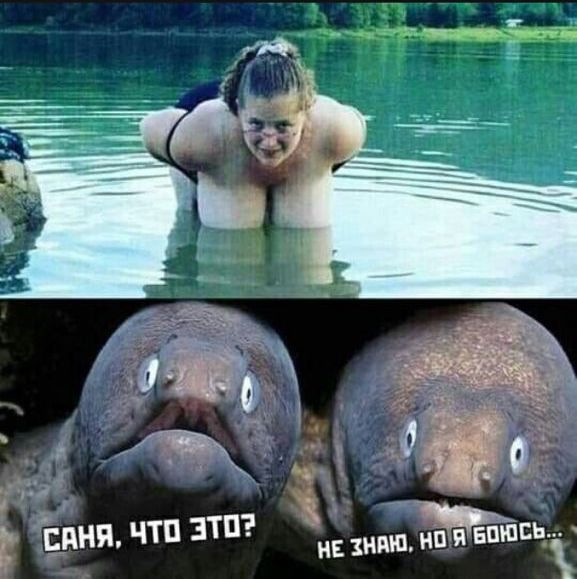Добрый дзэн