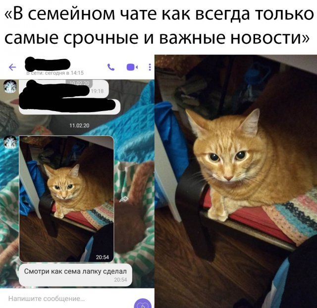 Картинки и мемы для настроения 13.12.2021