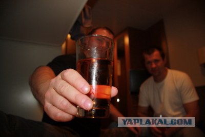 Похождения падонков