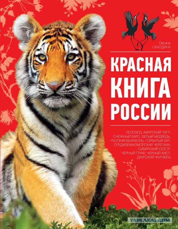 Я вот читаю новость и у меня бомбит