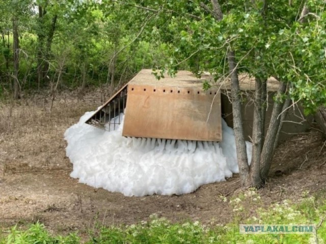 Фотографии из серии "Что здесь происходит?" 19.06.22