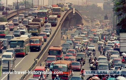 Они живут только 40 лет