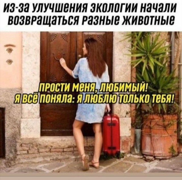 Картинки и мемы для настроения - 119