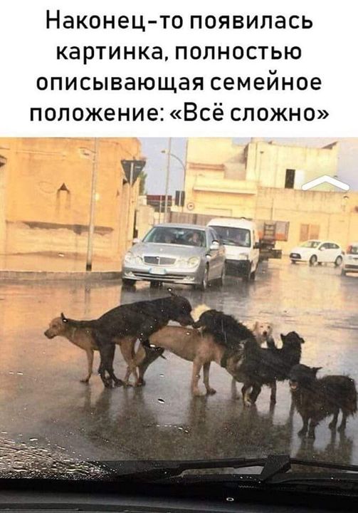 Картинки и мемы для настроения - 015