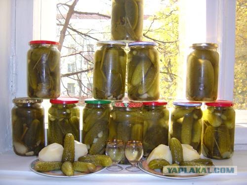 Хрустящий огурчик - наше всё на пятницу