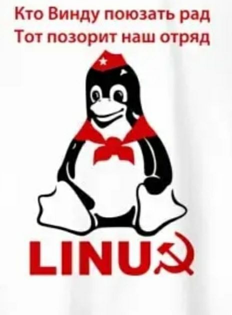 Недетские приключения в детском лагере