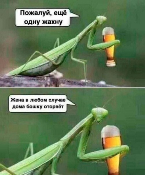Что может дать 40-50 летняя старушка парню ровеснику