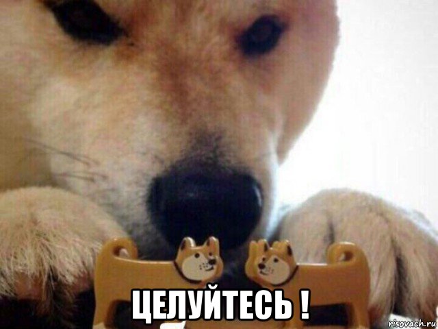 Заявления Шойгу о контрнаступлении Украины