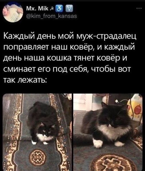 Нуштош 11.09.2023