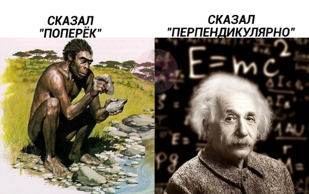 Весёлый полтишок 07.12.23