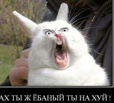 Про борьбу с закладчиками⁠⁠