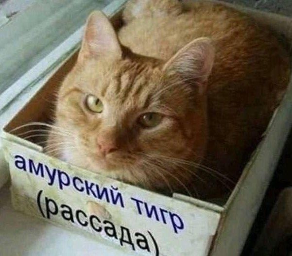 Сброс балласта