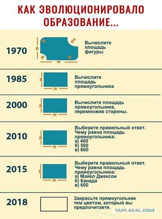 В Госдуме хотят отменить контрольные в школе из-за их ненужности
