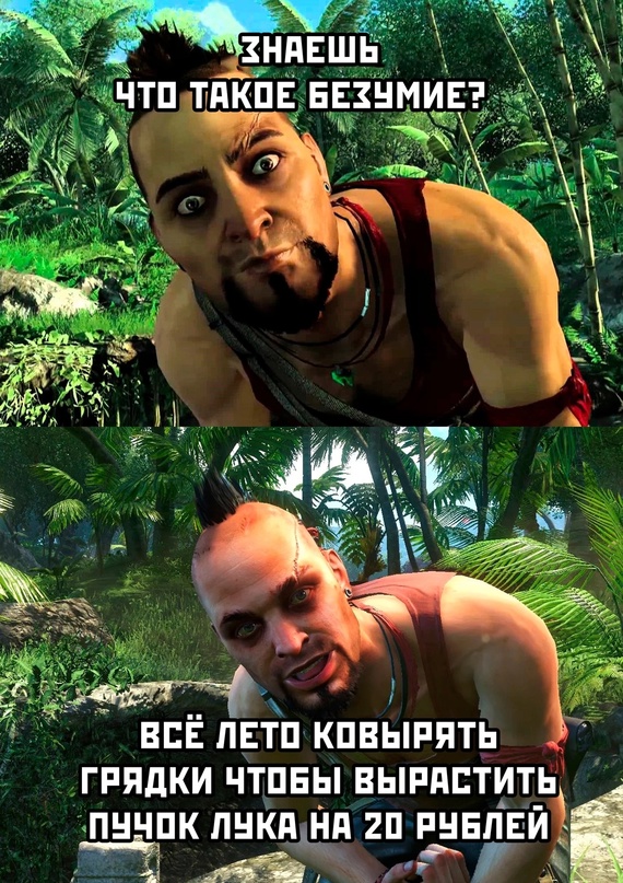 Весёлый полтишок 20.05.24