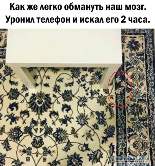 Так себе картинки 28.05.24