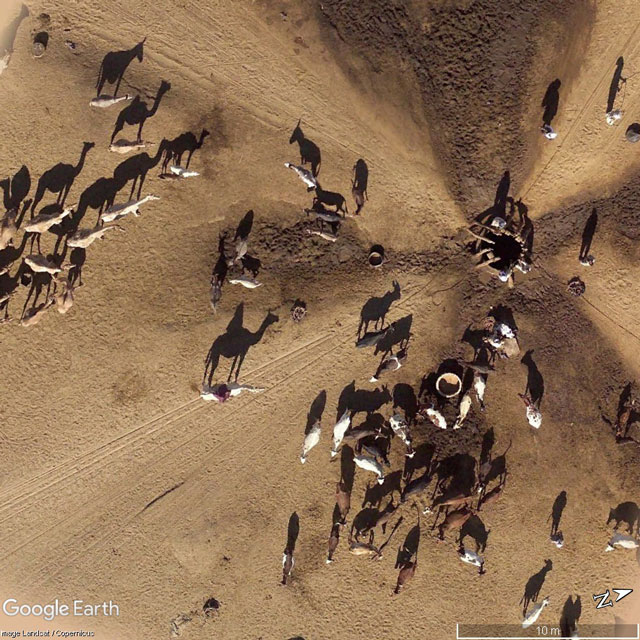 Уникальные и интересные места Google Maps - 1
