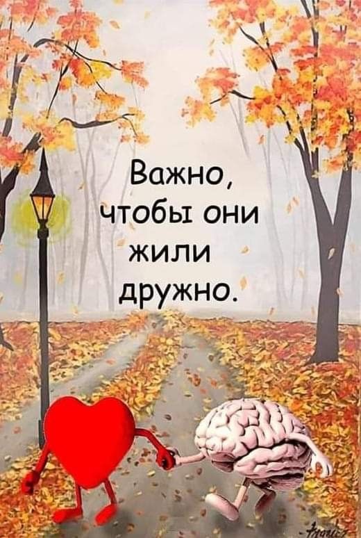 Прикольные и просто красивые картинки 12.11.2024
