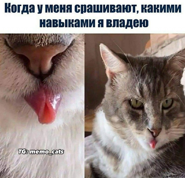 Веселые картинки в понедельник (10.02)
