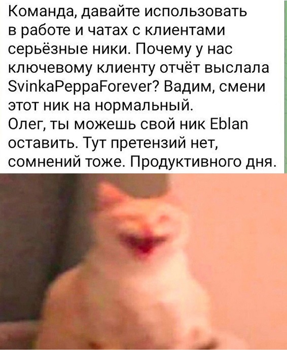 Весёлый полтишок 14.05.25.