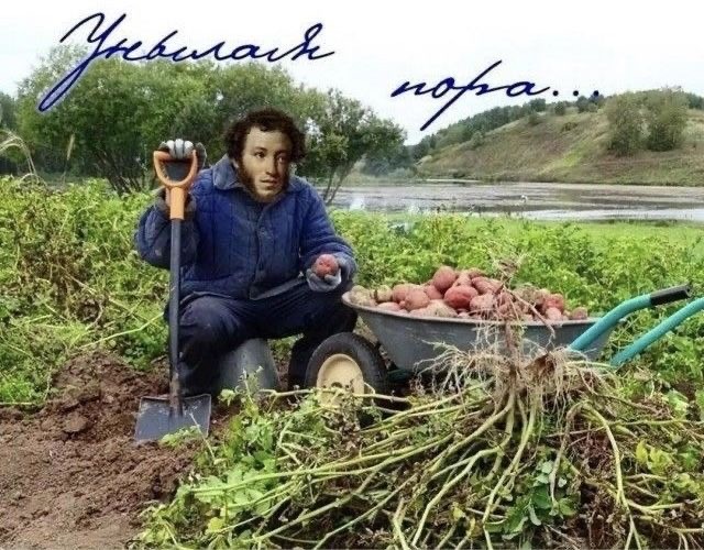 Прикольные и просто красивые картинки 07.10.2025